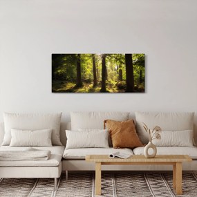 Obraz snového lesa (120x50 cm)