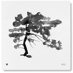 Plagát Pine Tree 50x50