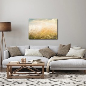 Obraz - Pole na jeseň (70x50 cm)