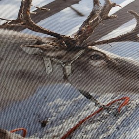 Obraz - Sob (120x50 cm)