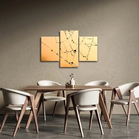 Obraz orosenej pavučiny (90x60 cm)