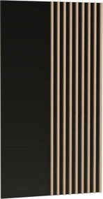 Nástenný panel Moderno C10 80 cm dub Artisan/čierny