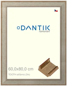DANTIK rám na obraz 60x80 | TOOTH stříbrná (Plexi Čiré)