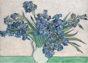 Sklenený obraz - Vincent van Gogh, Irises, reprodukcia (70x50 cm)