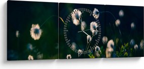Obraz - Tráva (s hodinami) (90x30 cm)