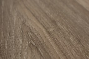 AKCIA: 300x390 cm PVC podlaha - lino Toptex Lime Oak 069L, šíře, béžová, filc, chodba / predsieň, Beauflor