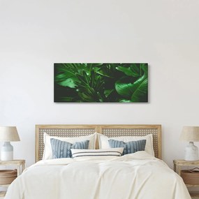 Obraz - Palmové listy (120x50 cm)