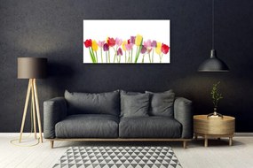 Obraz na akrylátovom skle Tulipány kvety rastlina 100x50 cm