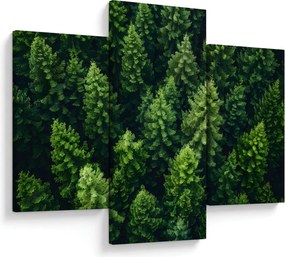Obraz - Les (90x60 cm)