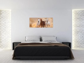 Obraz - Stádo koní (120x50 cm)