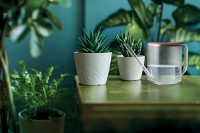 Kvetináč Areca - výber z 6 prevedení