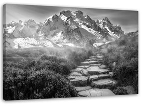 Obraz na plátně Horská krajina šedá - 60x40 cm