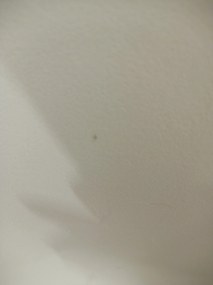 AKCIA Jedálenská stolička OSAKA plastová, béžová II. akosť
