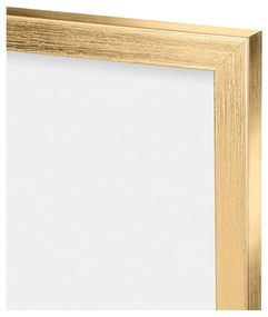 Plastový rámček na stenu v zlatej farbe 55x45 cm – knor