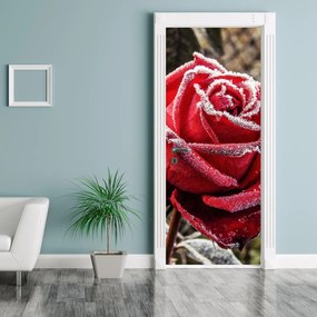 Fototapeta na dvere - Zmrznutá červená ruža (95x205cm)