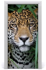 Fototapeta samolepiace na dvere Amazónie jaguár 85x205 cm