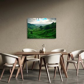 Sklenený obraz - Čajové plantáže v Malajzii (70x50 cm)