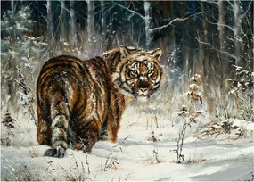 Obraz - Tiger v zasneženom lese, olejomaľba (70x50 cm)