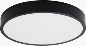 Stropné LED svietidlo Franco, rôzne veľkosti