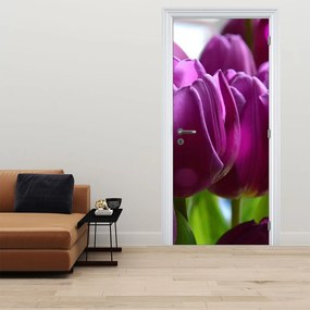 Fototapeta na dvere - Tulipány (95x205cm)