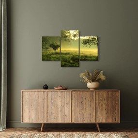 Obraz - Prebúdzajúci sa les (90x60 cm)