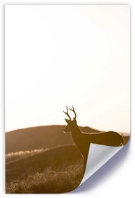 Gario Plagát Mladý jeleň Farba rámu: Bez rámu, Veľkosť: 20 x 30 cm