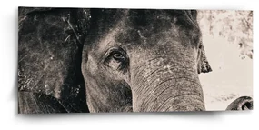 Sablio Obraz Pruhovaný motív - 110x50 cm