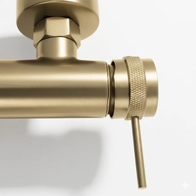 Rea Lungo Grip, vaňová batéria s ručnou sprchovou súpravou, zlatá matná, REA-B6398