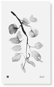 Plagát Birch Branch 30x50