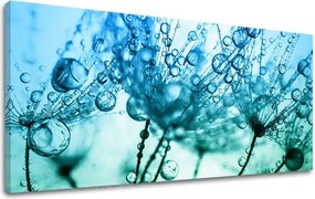 Obraz na stenu PANORÁMA KVETY KV060E13 - 50x100 cm