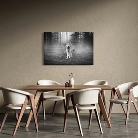 Obraz - Strážca lesa, čiernobiely (90x60 cm)