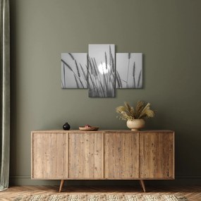 Obraz - Lúka pri západe slnka (90x60 cm)