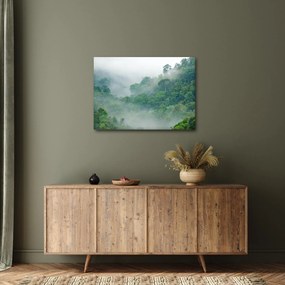 Obraz - Ranná hmla (70x50 cm)