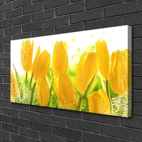 Obraz Canvas Tulipány kvety rastlina 100x50 cm