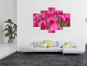 Obraz - Ružové tulipány (150x105 cm)