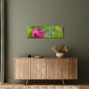Obraz - vodná rastlina (s hodinami) (90x30 cm)