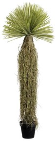 Yucca umelá rastlina zelená 180 cm