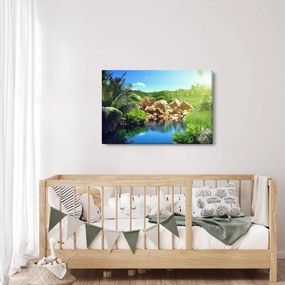 Obraz jazera v Seychelskej džungli (90x60 cm)