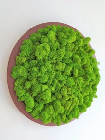 Machový obraz- kruh Ø30cm