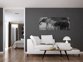 Obraz slonov - čiernobiely (120x50 cm)