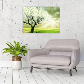 Sklenený obraz kvitnúceho stromu (70x50 cm)
