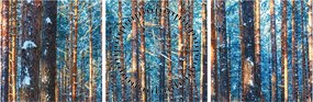 Obraz - Zimný les (s hodinami) (90x30 cm)