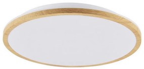 LED Stropné svietidlo WOODY LED/24W/230V pr. 38 cm