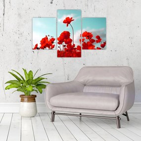 Obraz poľa s jasne červenými kvetmi (90x60 cm)