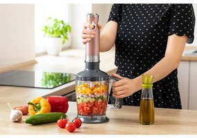 Sencor SHB 5605RS-EUE3 tyčový mixér