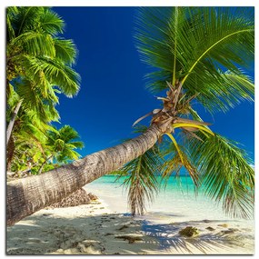 Obraz na plátne - Pláž s palmami - štvorec 384A (50x50 cm)
