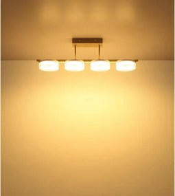 Globo 48046D3 - LED prisadený luster ZARA LED/24W/230V 3000K