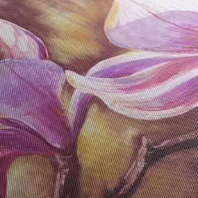Obraz - Kvety magnólie (150x105 cm)