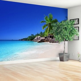 Fototapeta Vliesová Seychelská pláž 416x254 cm