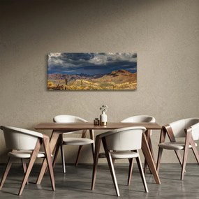 Obraz - kaktusy v prírode (120x50 cm)